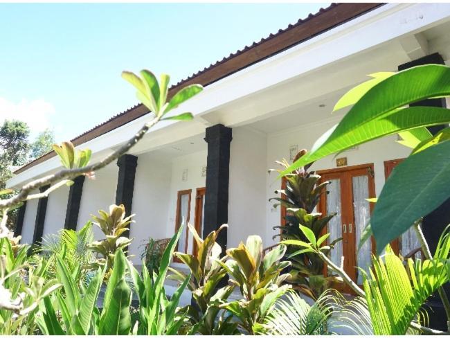 Wani Bali Bungalow Toyapakeh 外观 照片